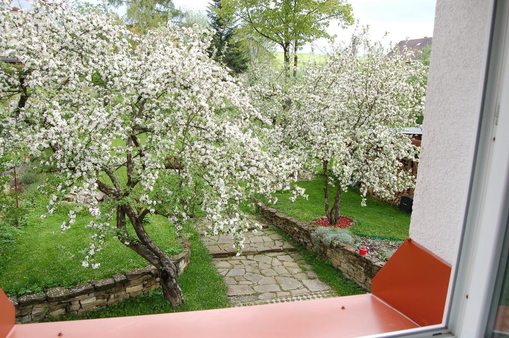 Penzion Belvia Nová Lesná Exteriör bild
