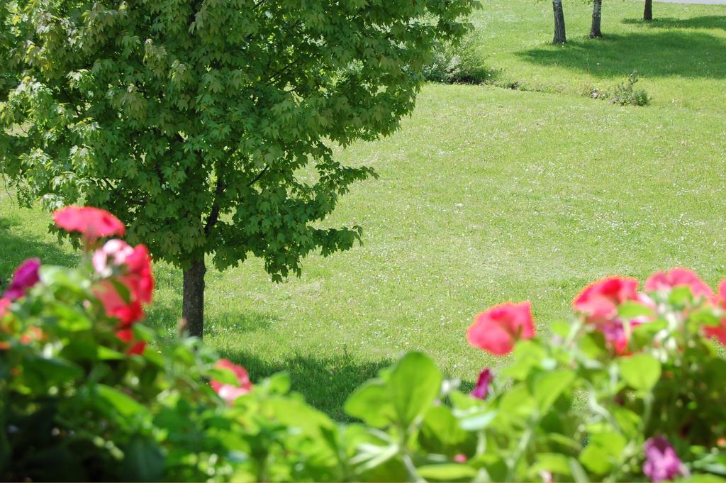Penzion Belvia Nová Lesná Exteriör bild